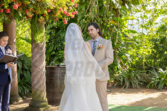 445-Daniel + Daniella Wedding