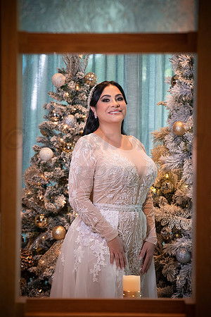 271-Erica Luis Wedding