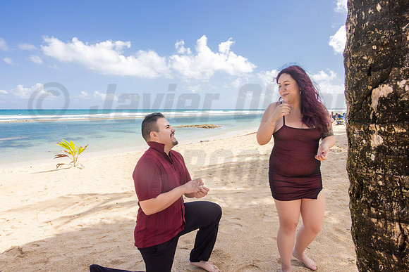 176-Paulina & Brian Proposal