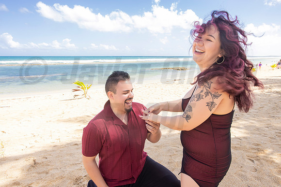 231-Paulina & Brian Proposal