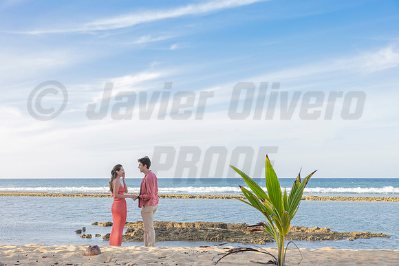 011-Travis proposal