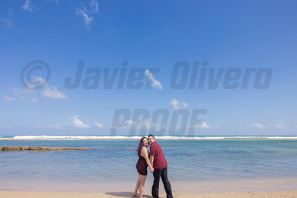 333-Paulina & Brian Proposal