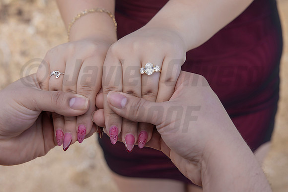 270-Paulina & Brian Proposal