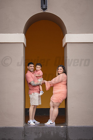 154-Daniel Proposal