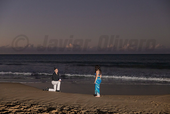011-Pedro Proposal