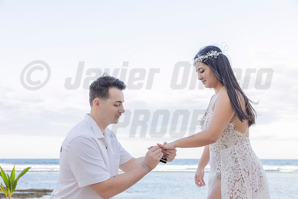083-Christian Proposal