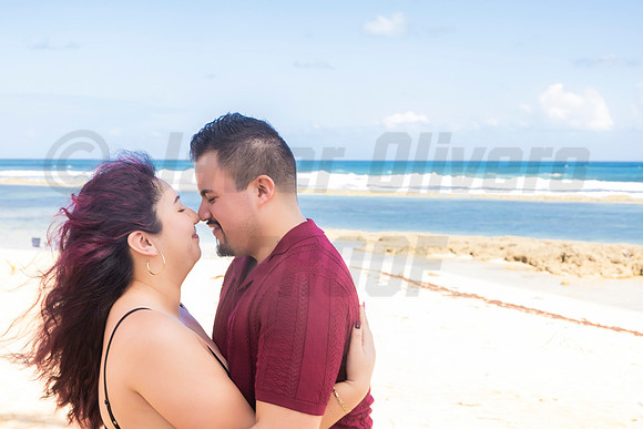 262-Paulina & Brian Proposal
