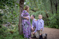 012-Eric & Nicole Maternity