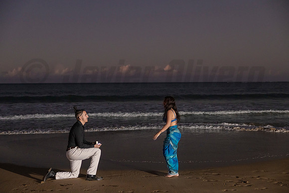 019-Pedro Proposal
