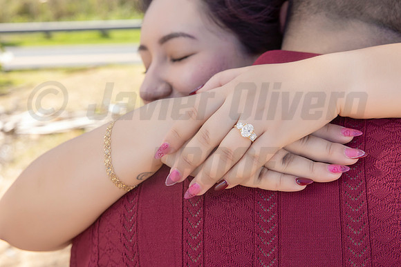 245-Paulina & Brian Proposal