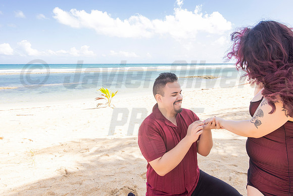 234-Paulina & Brian Proposal