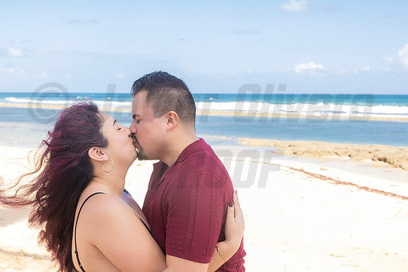 263-Paulina & Brian Proposal