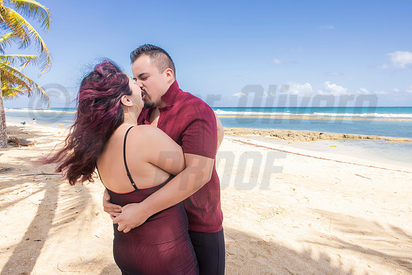 215-Paulina & Brian Proposal