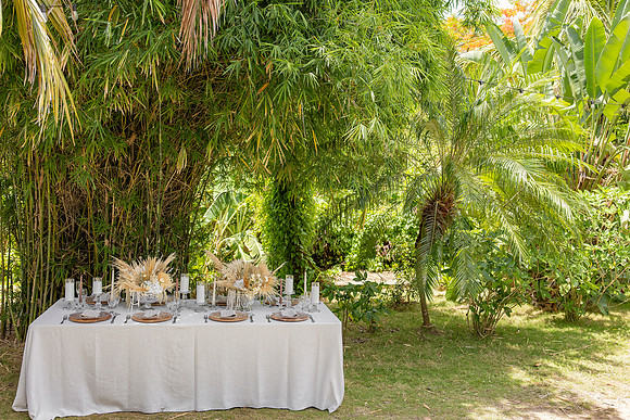 042-Vieques Weddings and Events