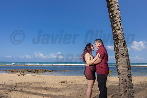 154-Paulina & Brian Proposal