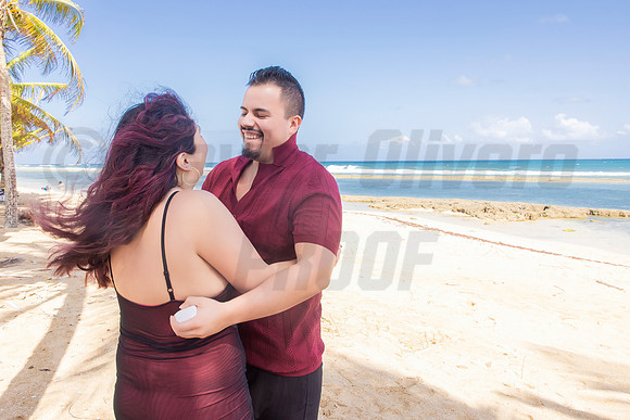 217-Paulina & Brian Proposal