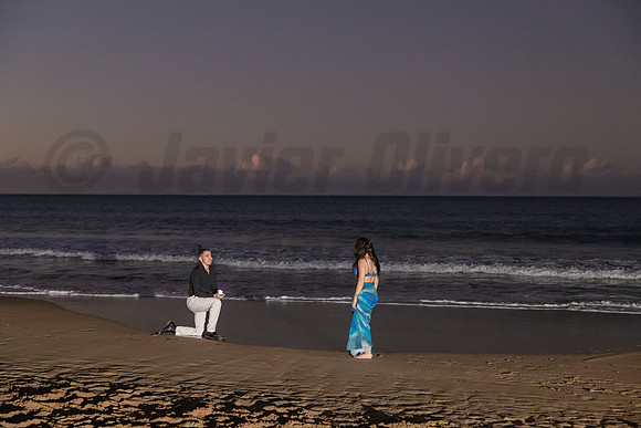 009-Pedro Proposal