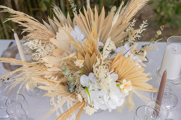 027-Vieques Weddings and Events